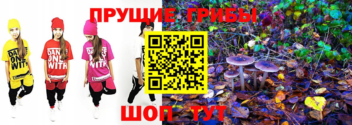 Чусовой  Галлюциногенные грибы прущие грибы  Вход с VPN  Галлюциногенные грибы Magic Shrooms 