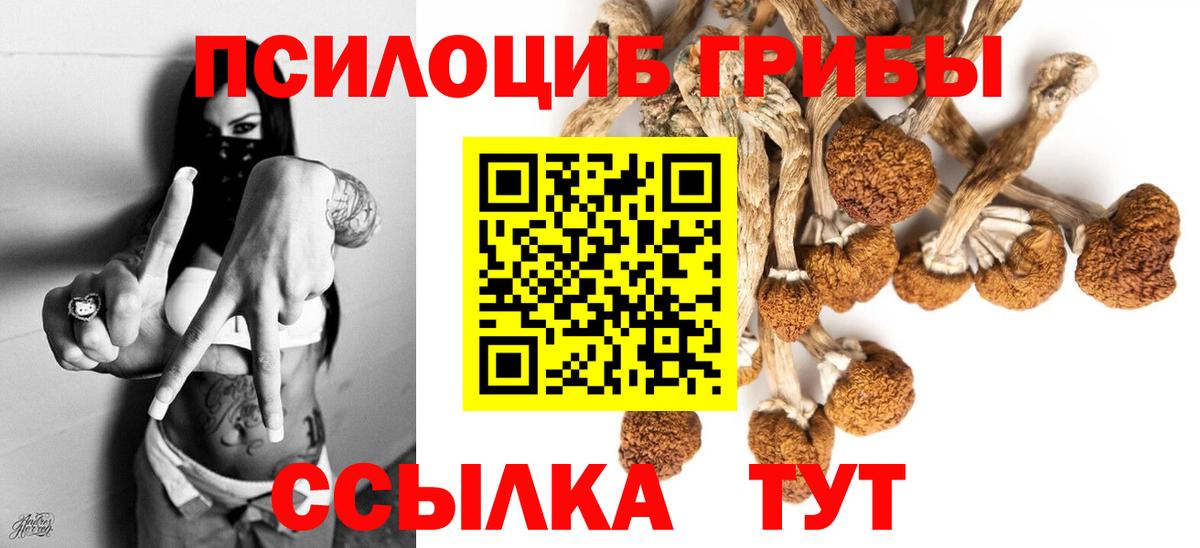 Псилоцибиновые грибы прущие грибы Чусовой